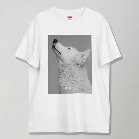 urday【Animal／White Dog／WB】フォトTシャツ（8202181）ホワイト/urday（マミアン）